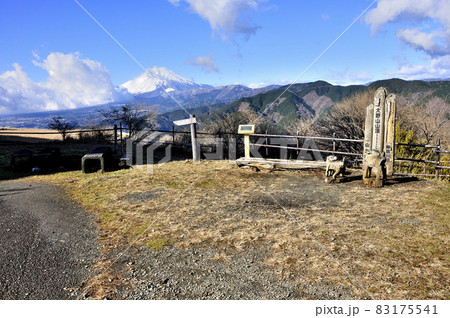 丹沢山地の大野山山頂からの展望　富士山と三国山稜と西丹沢 83175541