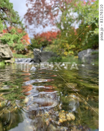 紅葉 83176310