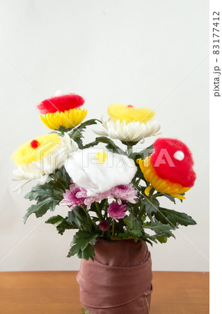 菊の着せ綿 菊の着せ綿 83177412