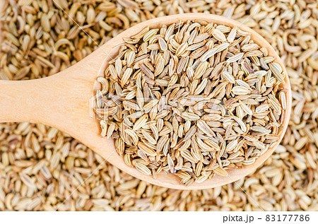 Dried fennel seeds in wooden spoon. Dried fennel seeds in wooden spoon. 83177786