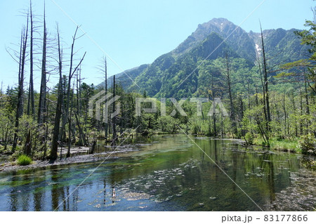 【長野県】上高地【観光】 【長野県】上高地【観光】 83177866