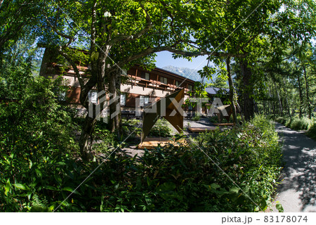 早朝の上高地、大正池から河童橋まで森の中を歩いた 早朝の上高地、大正池から河童橋まで森の中を歩いた 83178074