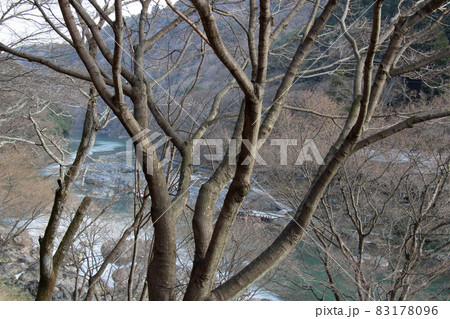 京都嵯峨野 保津川 京都嵯峨野 保津川 83178096