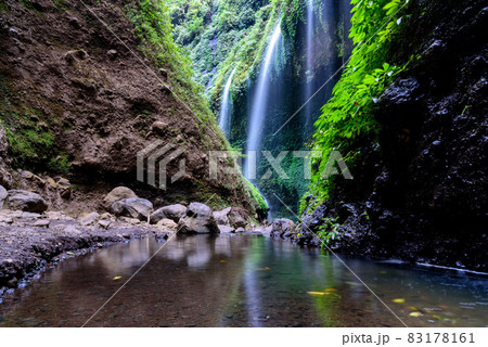 Madakaripura Waterfall (Probolinggo) is the tallest waterfall in deep Forest in East Java, Indonesia. 83178161