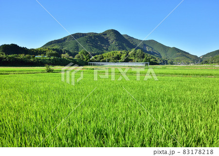 四塚連山　湯川山　福岡県宗像市 83178218