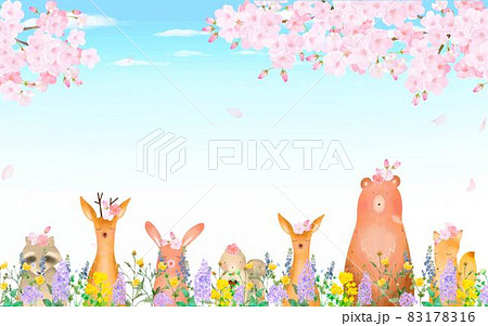 森の動物が満開の桜の木の下にいる北欧風かわいい青空バックのフレームイラストベクター素材  83178316