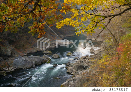高津戸峡 紅葉 高津戸峡 紅葉 83178317
