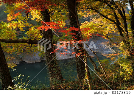 高津戸峡 紅葉 高津戸峡 紅葉 83178319
