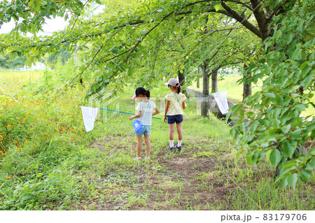 虫取りを楽しむ子供たち 虫取りを楽しむ子供たち 83179706