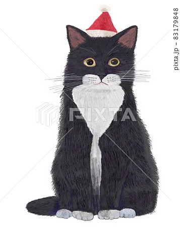 サンタ帽子猫白黒のイラスト素材