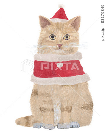 サンタ猫茶トラ 83179849