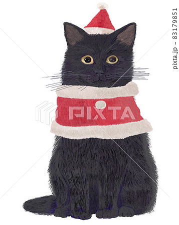 サンタ猫黒 83179851