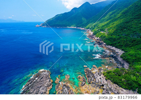 海と森の間 83179966