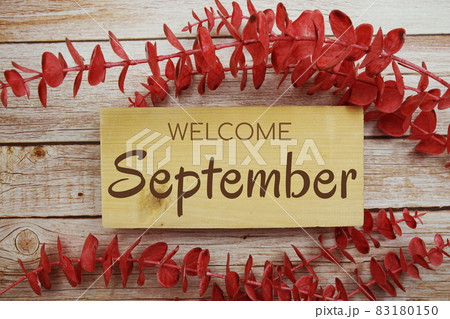 Welcome September text on wooden board with red leaves decorate on wooden background Welcome September text on wooden board with red leaves decorate on wooden background 83180150