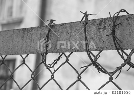 Close up of features of a barbed wire fence Close up of features of a barbed wire fence 83181656