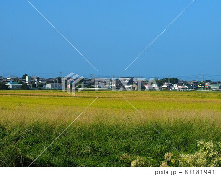 快晴の夏空と田園風景（香長平野 Aug. '21） 83181941
