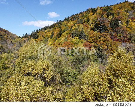 秋の北海道 紅葉が見頃の定山渓〜朝里峠を空撮 83182078