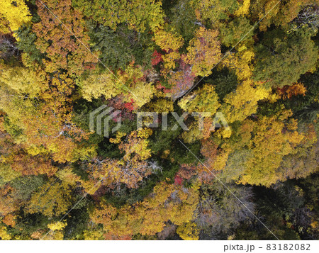 秋の北海道 紅葉が見頃の定山渓〜朝里峠を空撮(真俯瞰) 秋の北海道 紅葉が見頃の定山渓〜朝里峠を空撮(真俯瞰) 83182082