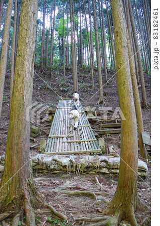 森の中、アスレチックで遊ぶ子どもたち 森の中、アスレチックで遊ぶ子どもたち 83182461