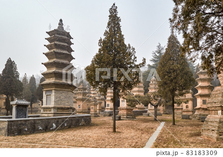 Pagoda Forest at Shaolin Temple in China Pagoda Forest at Shaolin Temple in China 83183309