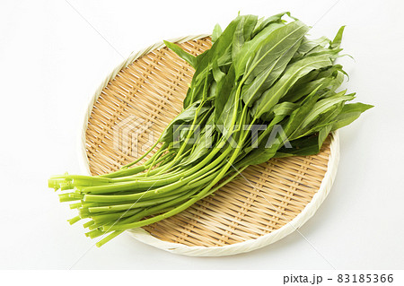 空心菜 83185366