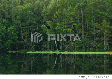 御射鹿池（長野県） 83185742