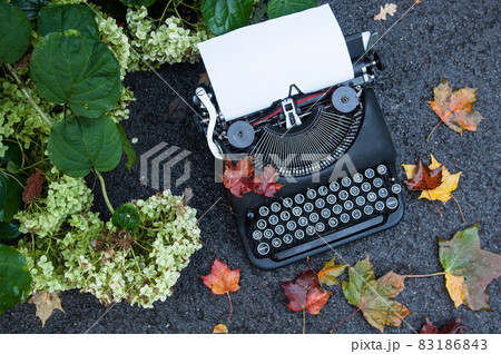 Antique vintage typewriter in on autumn background Antique vintage typewriter in on autumn background 83186843