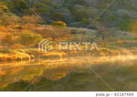 群馬県前橋市富士見町 赤城山山頂付近にある小尾瀬とも呼ばれる覚満淵 早朝の紅葉と水面の映り込み 群馬県前橋市富士見町 赤城山山頂付近にある小尾瀬とも呼ばれる覚満淵 早朝の紅葉と水面の映り込み 83187469