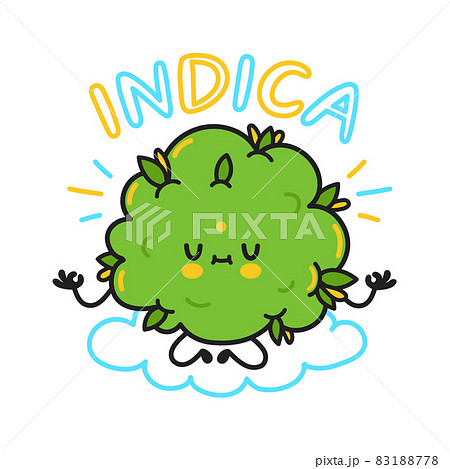 Cute weed cannabis bud. Indica quote. Vector cartoon character flat line illustration. Weed, marijuana strains, indica cannabis concept 83188778