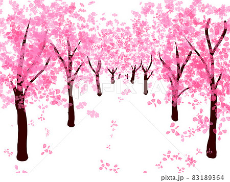 満開の桜並木のイラスト素材 1364
