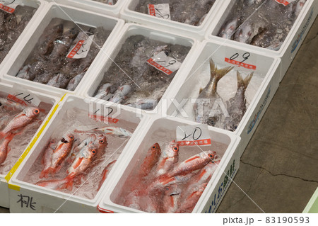 【魚市場 アカムツ】 【魚市場 アカムツ】 83190593