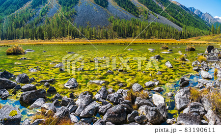 Panoramic glowing green natural background with a acid color swamp surface. Bright mountain scenery with wild flora of highlands in swampy mountain lake. Panoramic glowing green natural background with a acid color swamp surface. Bright mountain scenery with wild flora of highlands in swampy mountain lake. 83190611