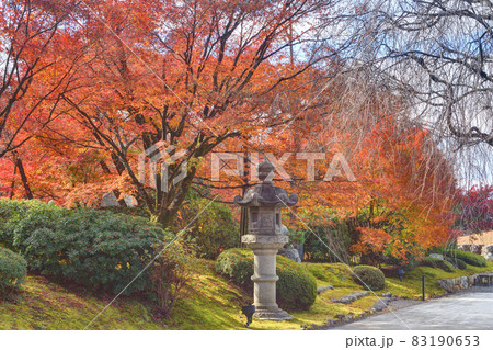 将軍塚青龍殿の紅葉 83190653