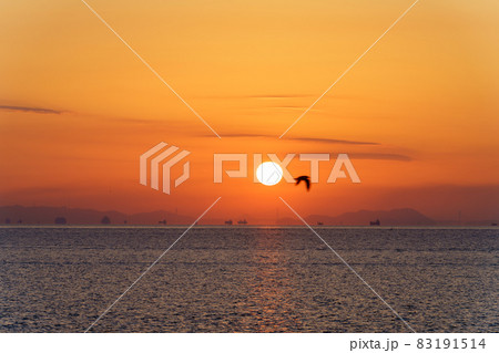 水平線からあがる朝日 83191514