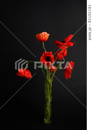 Remembrance Day greeting card. Beautiful red poppies flowers on black background. Lest we forget. 83192181