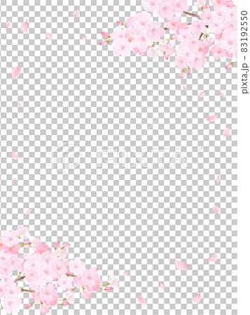 Beautiful and gorgeous cherry blossoms and petals fluttering spring white background vector material illustration 83192550