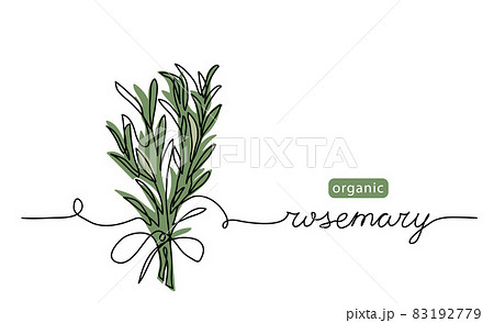 Rosemaryページ Rosemary Hair Growth Serum By Dr. Bisma – Bellez.Co