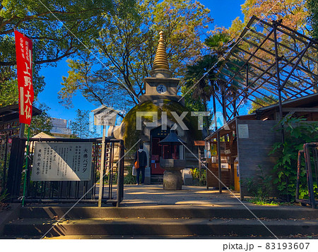 東京上野・上野公園内の上野大仏（パゴダ） 83193607