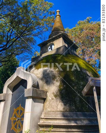 東京上野・上野公園内の上野大仏(パゴダ) 東京上野・上野公園内の上野大仏(パゴダ) 83193800