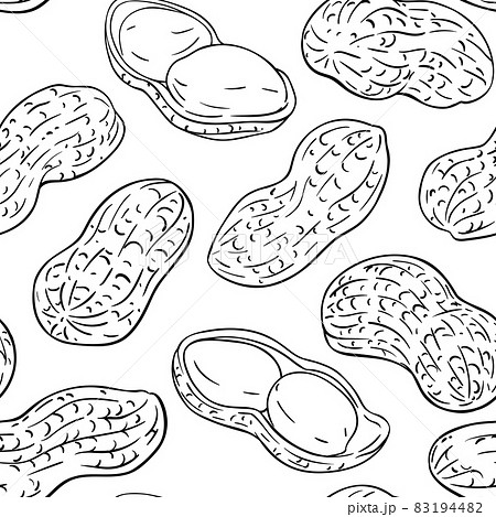 peanut vector pattern on white background peanut vector pattern on white background 83194482