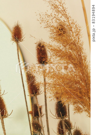 Dried autumn flowers bouquet at home close up 83194894