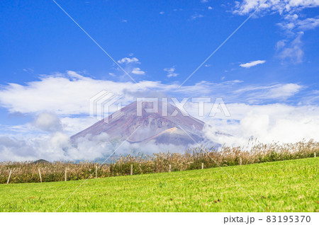 秋の富士山とすすき 秋の富士山とすすき 83195370