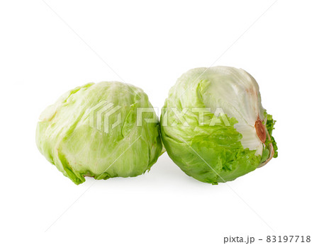 Green Iceberg lettuce on White Background 83197718
