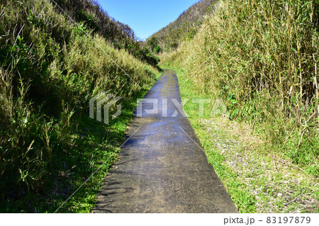 2021年、千葉県のおせんころがしの風景 83197879