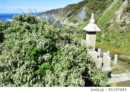2021年、千葉県のおせんころがしの風景 83197884