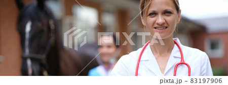 Veterinarian conducts medical examination of horse closeup Veterinarian conducts medical examination of horse closeup 83197906