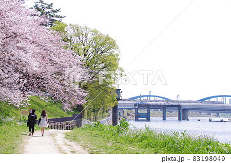 川沿いの桜道を散歩 83198049