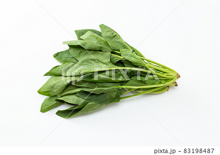 ほうれん草　白バック 83198487