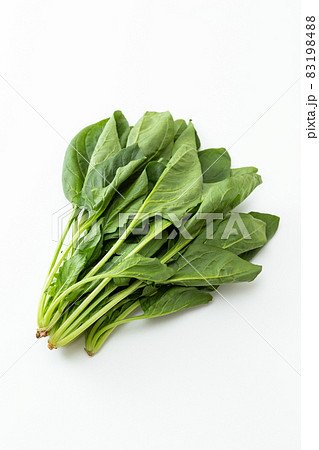 ほうれん草　白バック 83198488