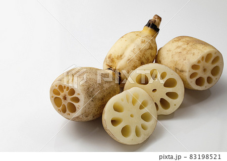 白バックのレンコン 83198521